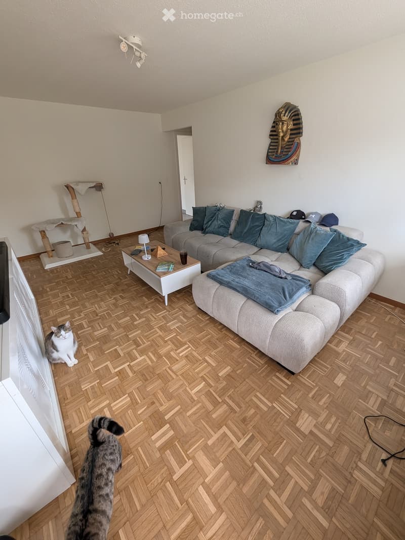 Zimmer Monats weise zu vermieten (1)