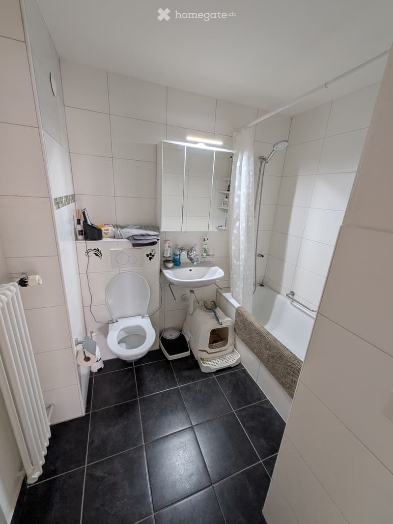 Zimmer Monats weise zu vermieten (2)