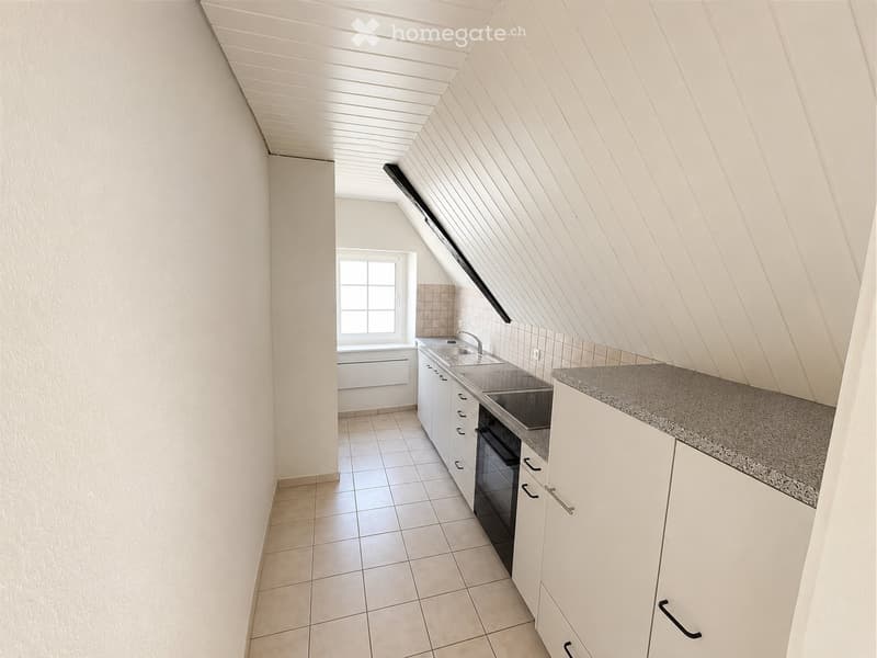 Frisch renovierte 3.0-Zimmer-Wohnung mit Dachterrasse (3)