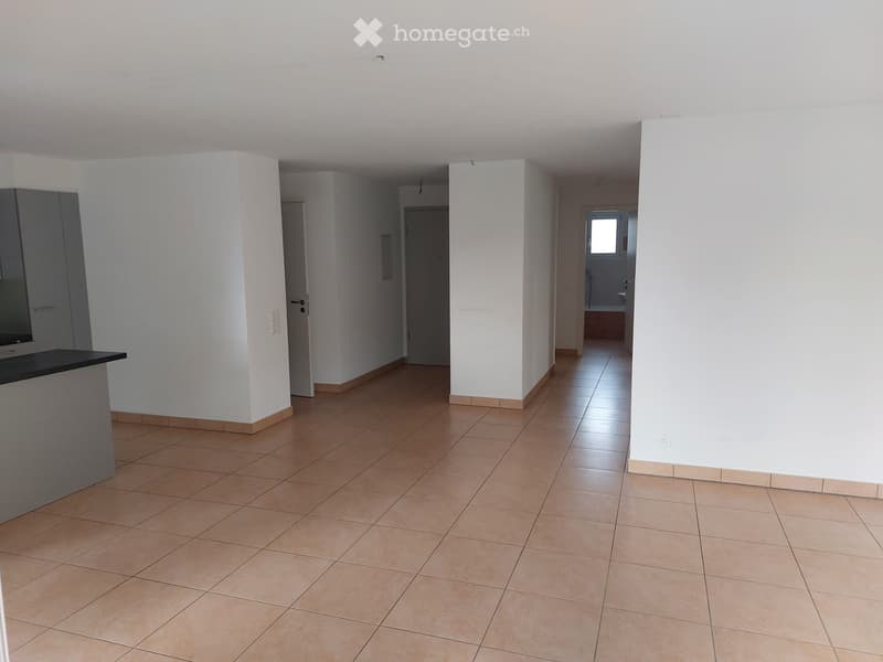 3.5 locali Cadempino (5)