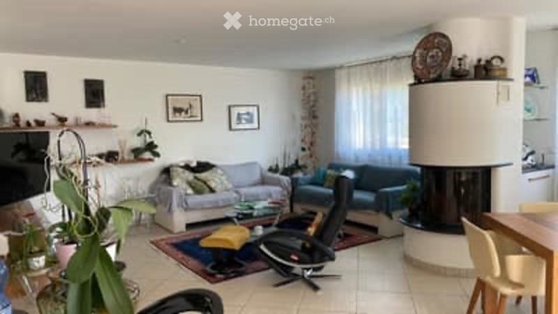 Appartamento 4,5 loc. con ampia terrazza e giardino (3)