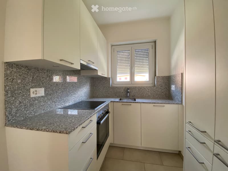Soleggiato 3.5 locali con balcone (2)