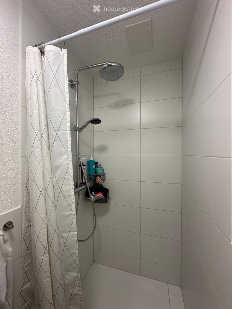 Moderne 2.5-Zimmer-Wohnung in Affeltrangen (5)