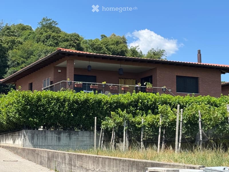 Villa a San Pietro di Stabio (2)