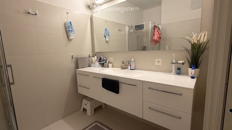 Appartamento 3.5 loc con grande terrazza coperta a Cassarate (4)