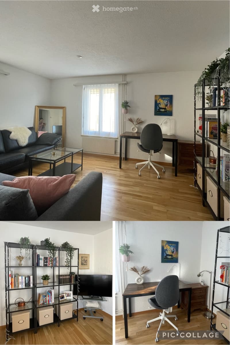 Charmante, voll möblierte 2.5-Zimmer-Wohnung (befristetet) (1)