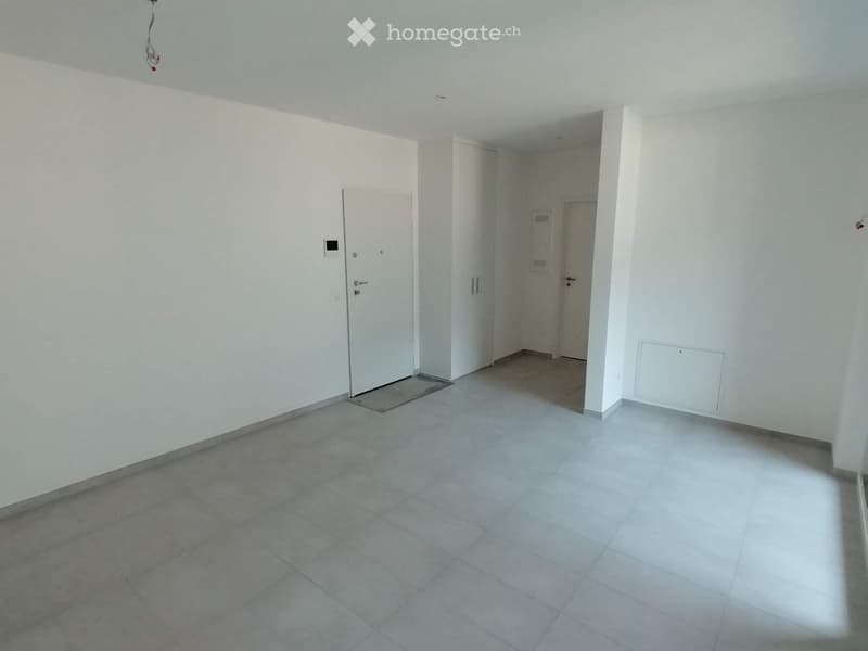 Appartamento 2.5 locali moderno con terrazza abitabile (3)