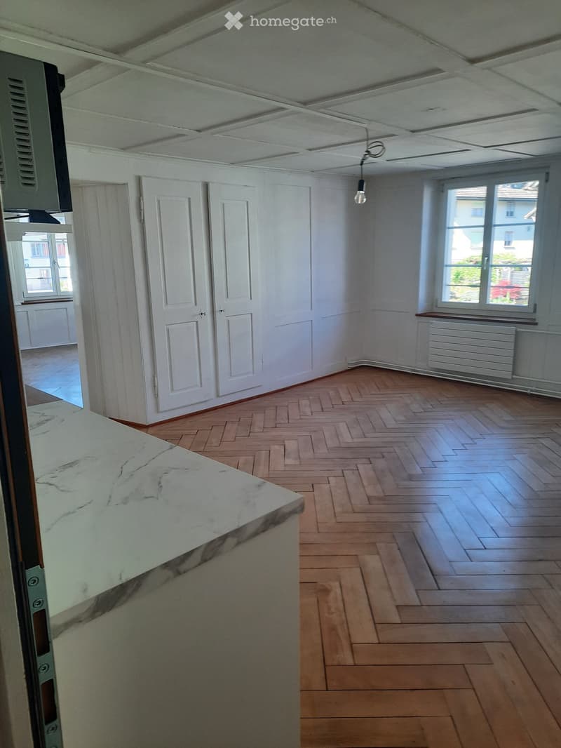 2- Zimmerwohnung im Züri Oberland (1)