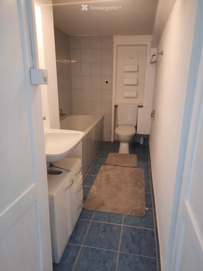 2- Zimmerwohnung im Züri Oberland (4)