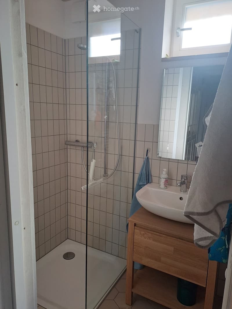 Befristet zu vermieten: möblierte 3 Zimmer Wohnung (3)