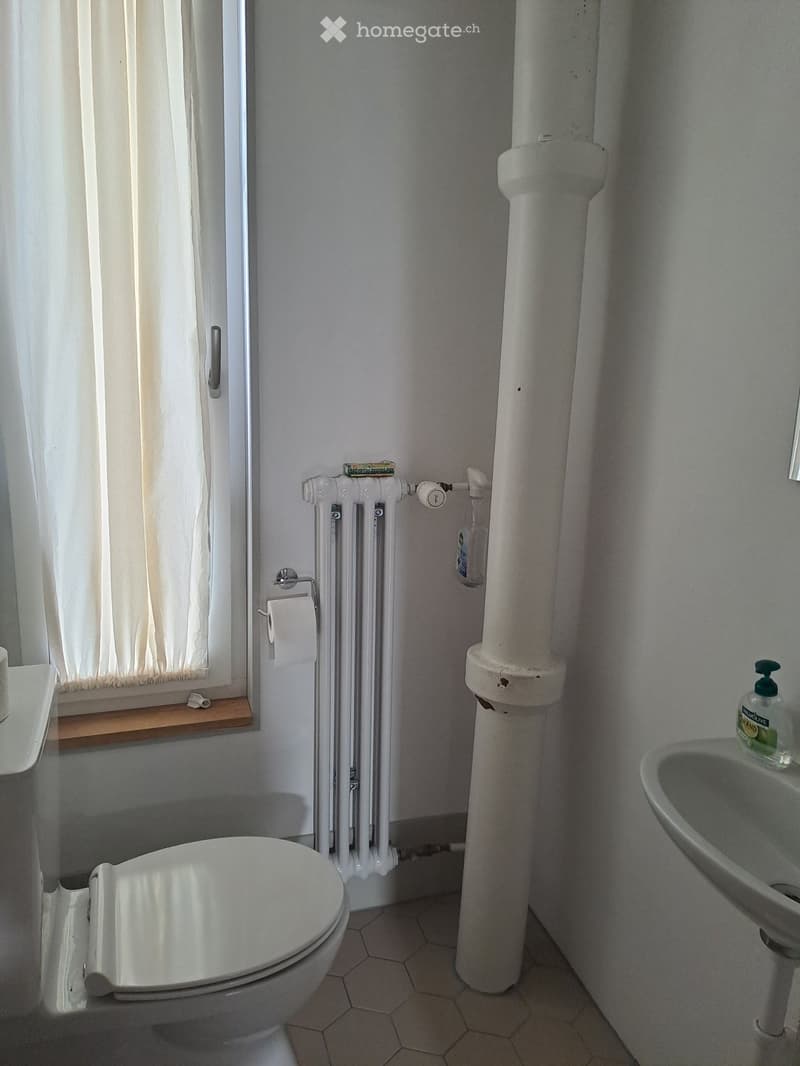 Befristet zu vermieten: möblierte 3 Zimmer Wohnung (4)