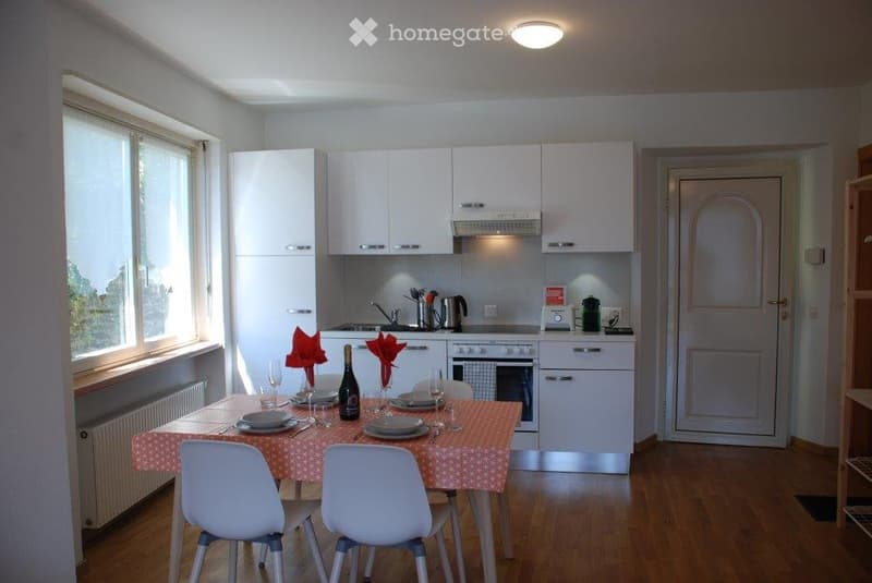 Appartamento 2.5 locali con splendida vista lago a Brissago (1)