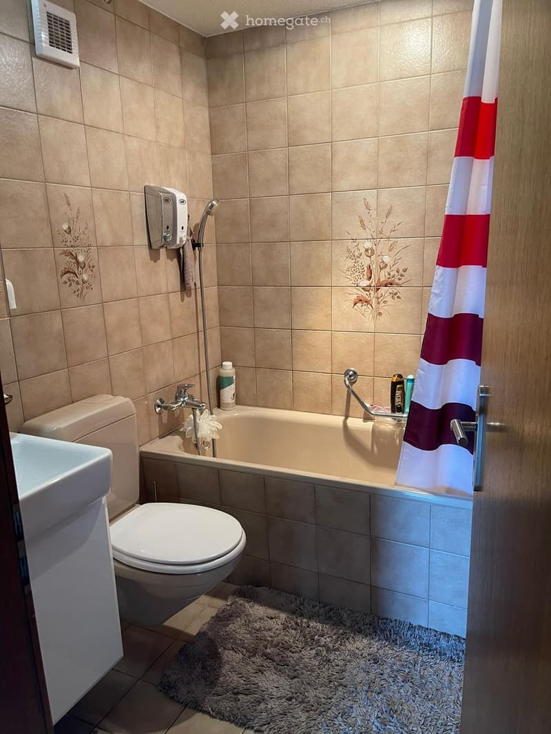 familienfreundliche 4.5 Zimmer Wohnung im gemütlichen Saland (3)