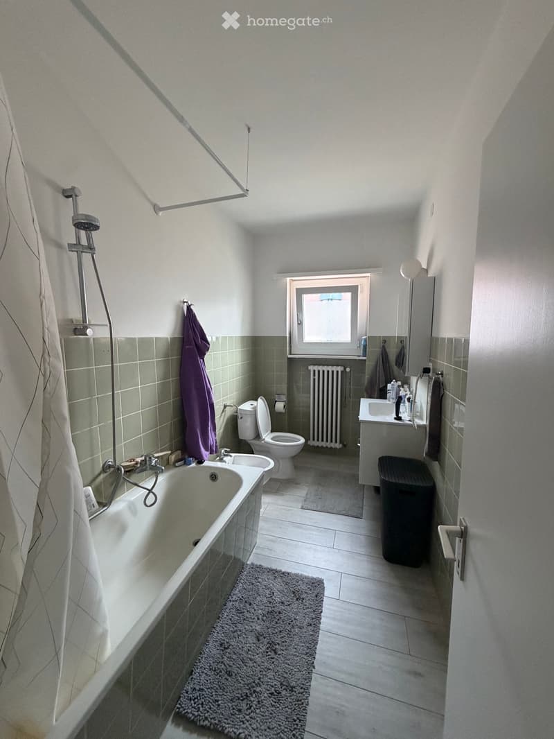Cerco subentrante 1.5 locali Bellinzona (3)