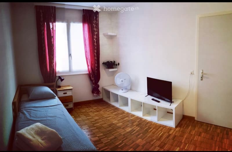Affitto camera arredata con bagno (1)