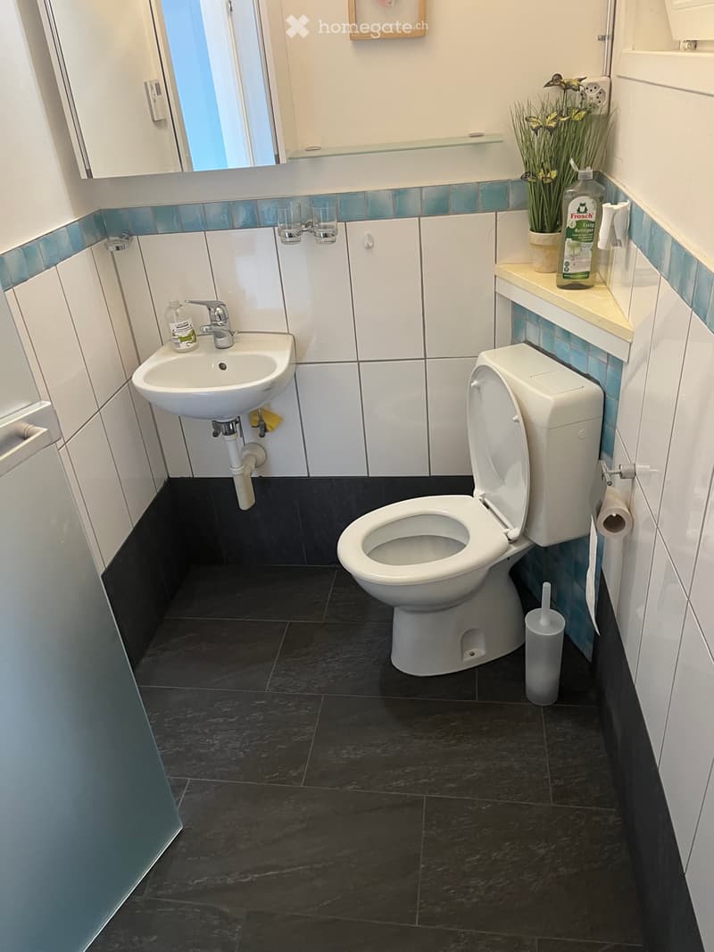 2-Zimmer-Wohnung mit traumhafter Seesicht im Schönörtli (4)