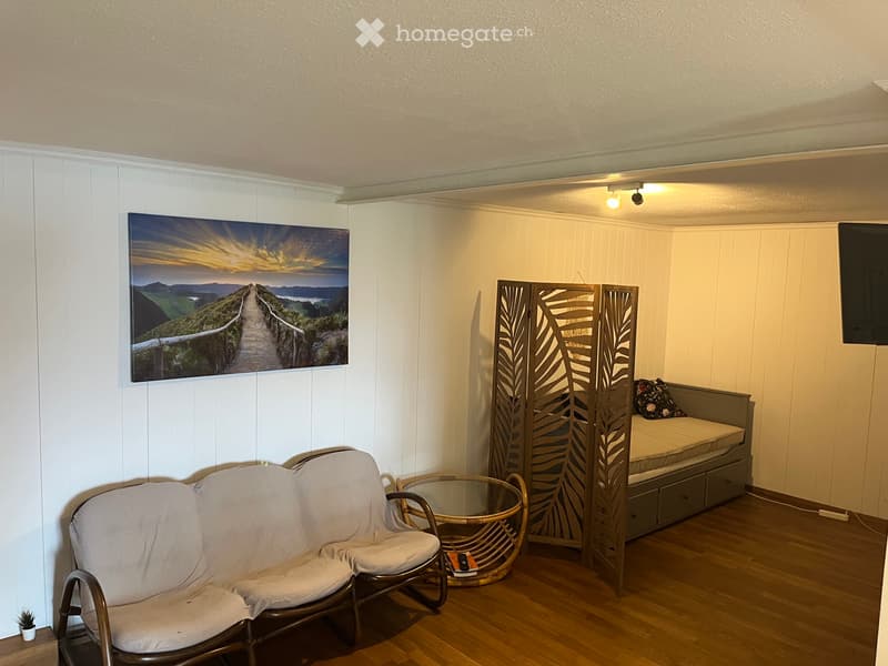 2-Zimmer-Wohnung mit traumhafter Seesicht im Schönörtli (2)
