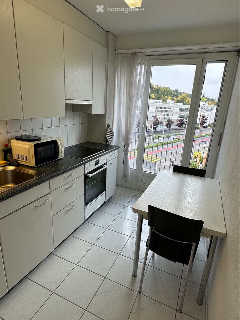 Fully furnished 2.5-room apartment in Zurich (4)