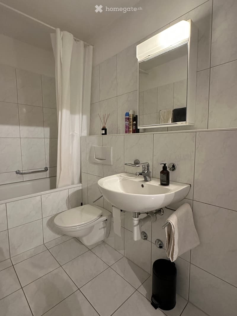 Fully furnished 2.5-room apartment in Zurich (5)