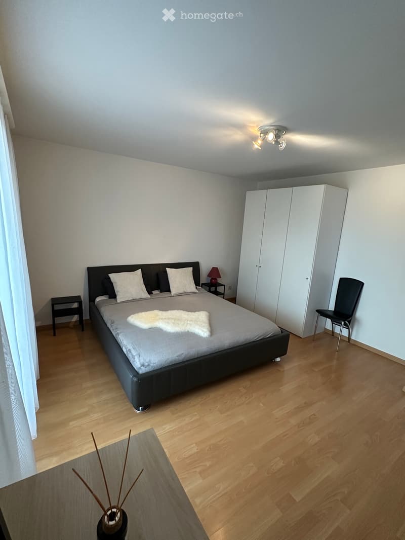 Fully furnished 2.5-room apartment in Zurich (3)