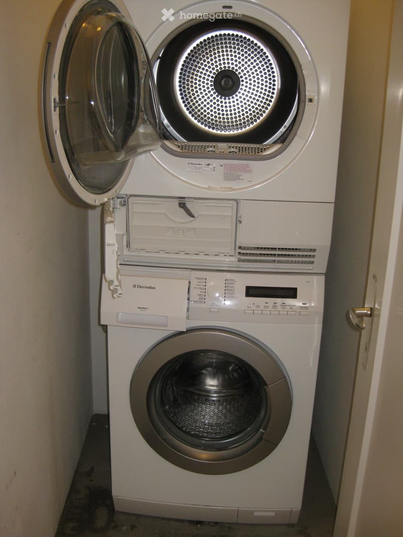 Grosse 3.5-Zimmer-Wohnung (5)