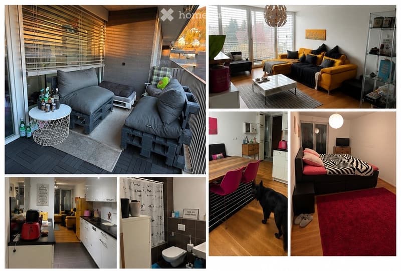 Nachmieter gesucht Moderne 3.5-Zimmer-Wohnung in Beringen (1)