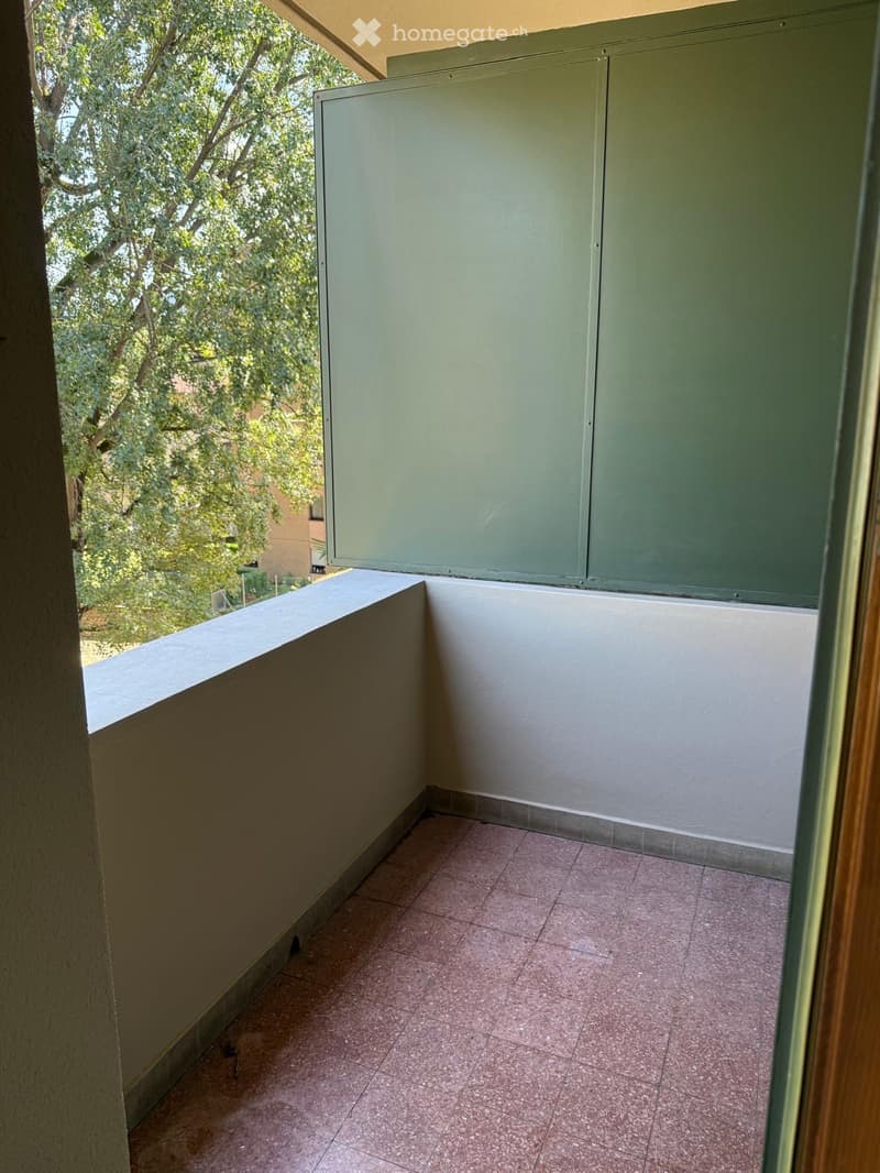 2.5 locali a Massagno  disponibile da subito (3)