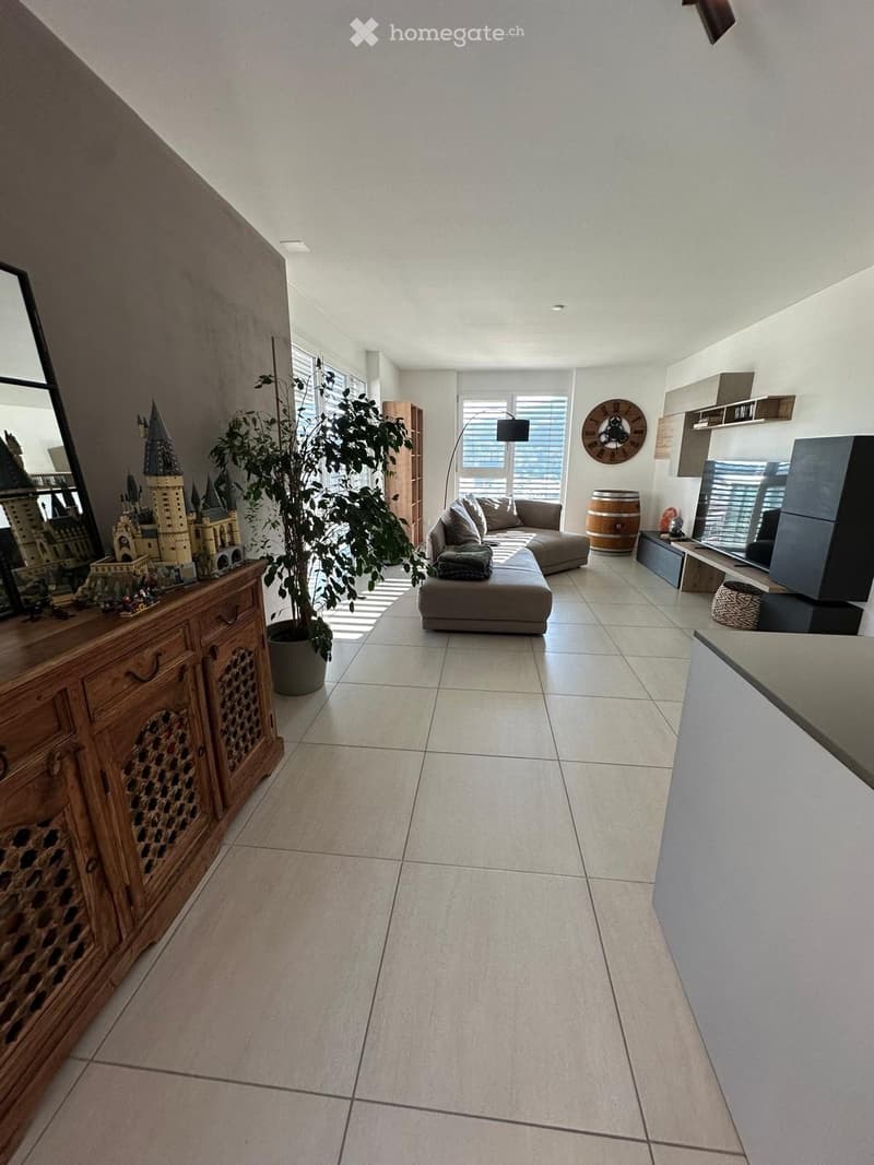 Cercasi subentrante  Splendido 4.5 moderno a Mendrisio (5)