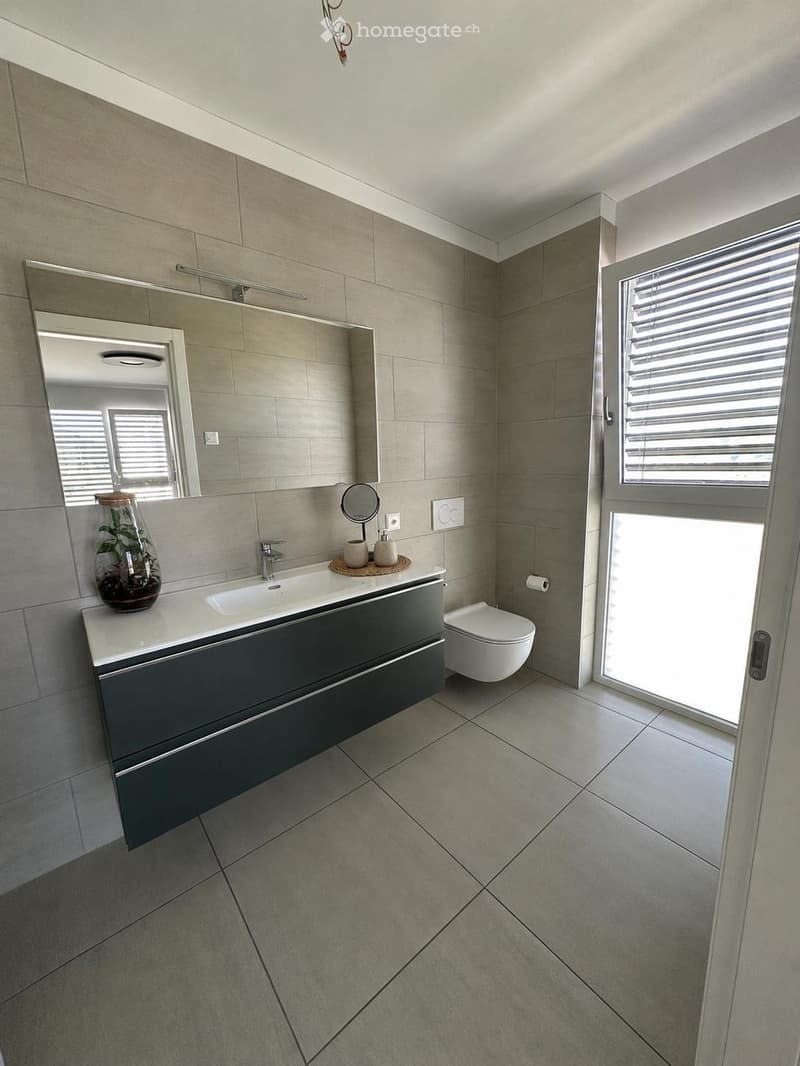 Cercasi subentrante  Splendido 4.5 moderno a Mendrisio (11)