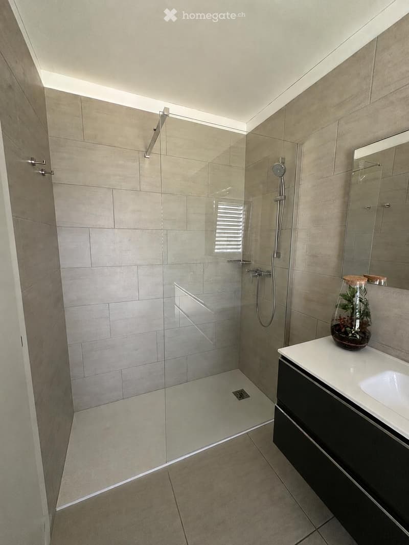 Cercasi subentrante  Splendido 4.5 moderno a Mendrisio (10)