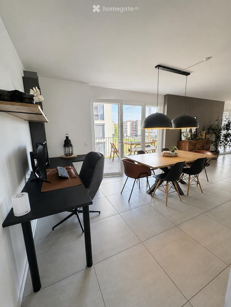 Cercasi subentrante  Splendido 4.5 moderno a Mendrisio (4)