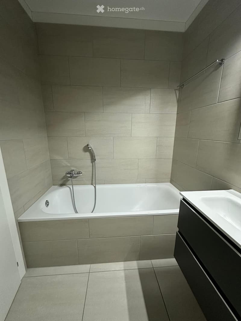 Cercasi subentrante  Splendido 4.5 moderno a Mendrisio (9)