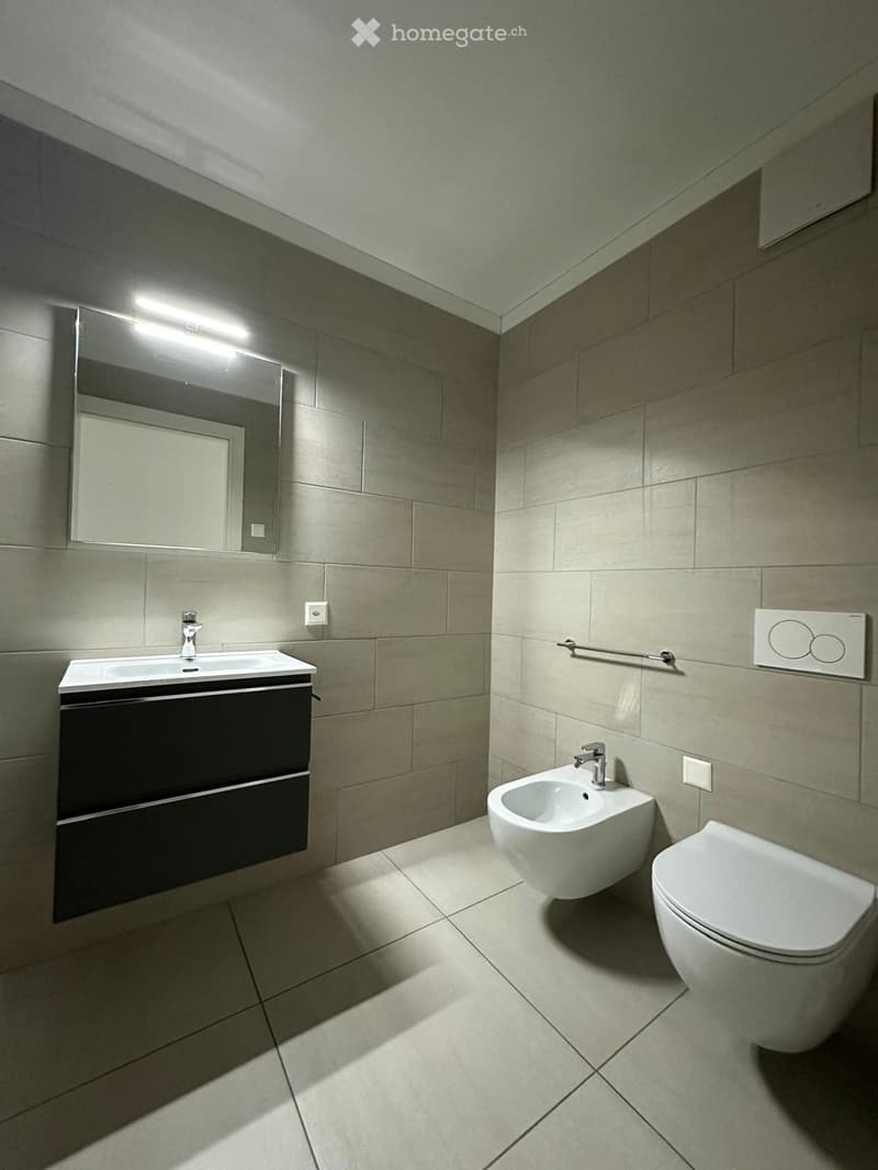 Cercasi subentrante  Splendido 4.5 moderno a Mendrisio (8)