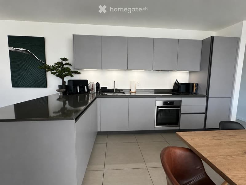 Cercasi subentrante  Splendido 4.5 moderno a Mendrisio (6)
