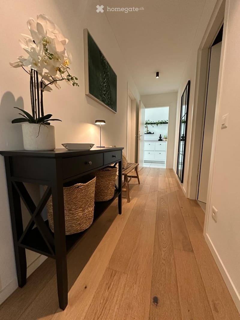 Cercasi subentrante  Splendido 4.5 moderno a Mendrisio (2)