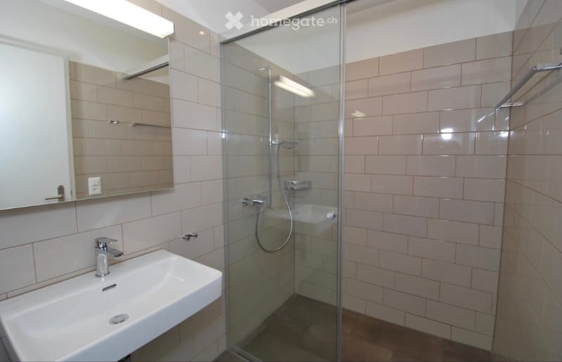 Moderne 3.5-Zimmer-Wohnung nahe Hallwilersee (5)