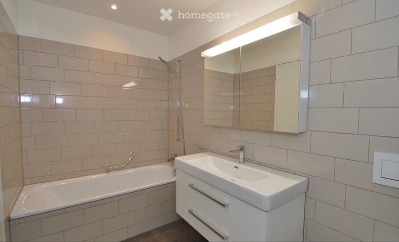 Moderne 3.5-Zimmer-Wohnung nahe Hallwilersee (4)