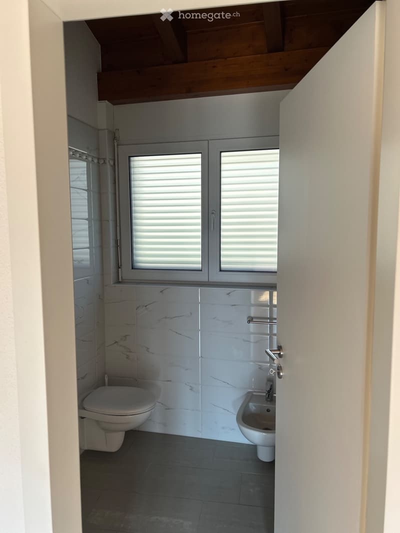 Appartamento duplex (5)