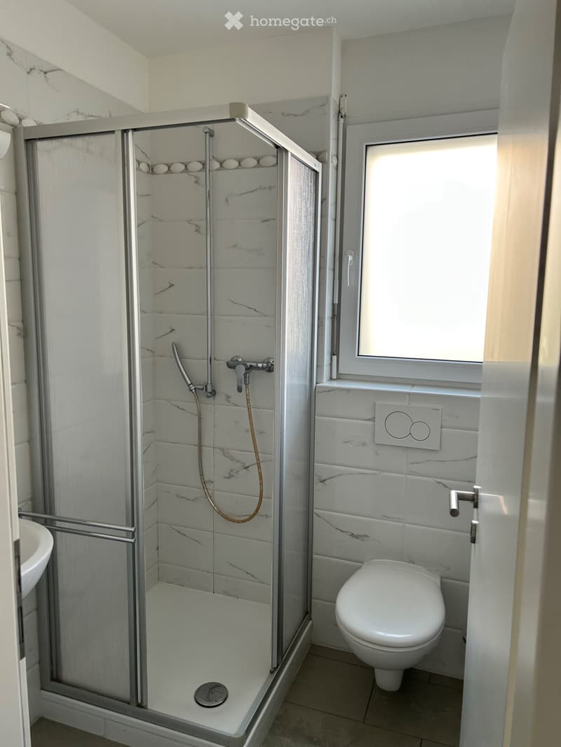 Appartamento duplex (3)
