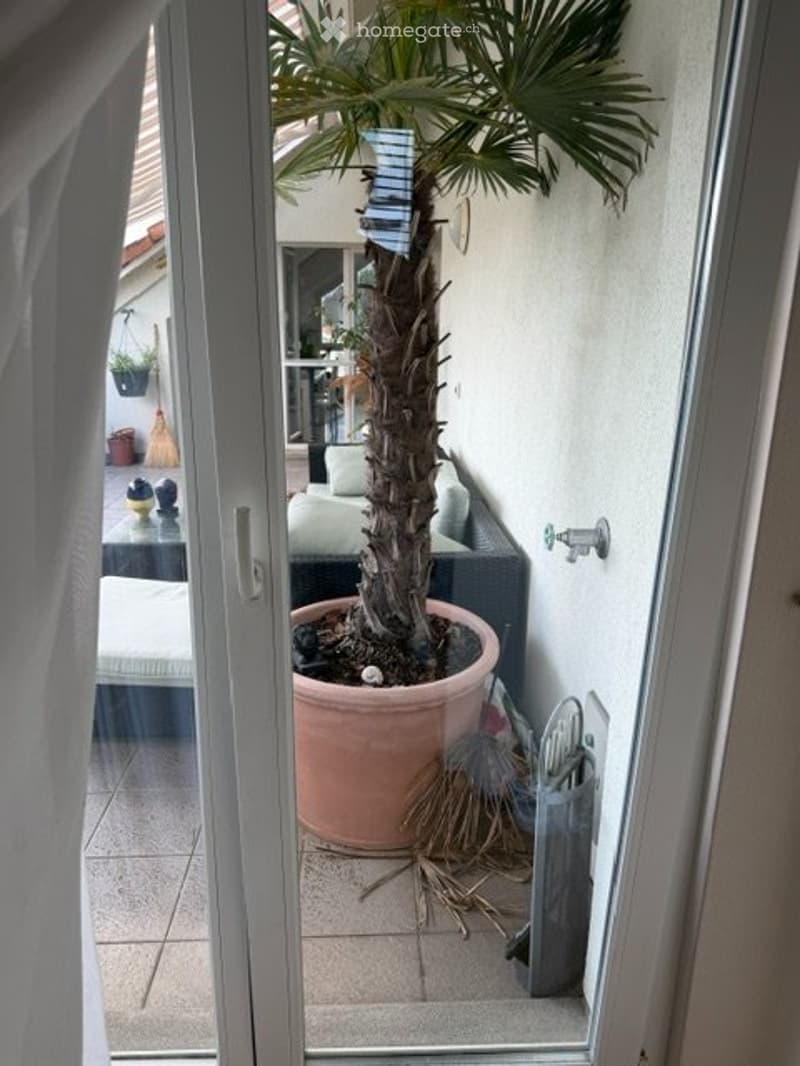 Grosses Zimmer mit eigenem Bad in Dachgeschosswohnung (5)