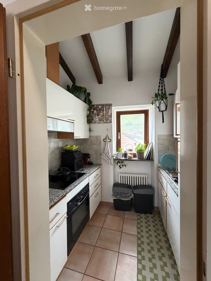 Appartamento Tenero 2,5 (3)