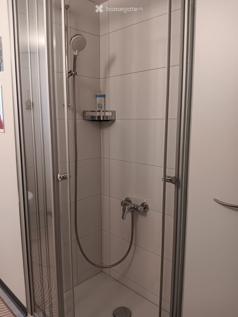 Nachmieter gesucht (4)