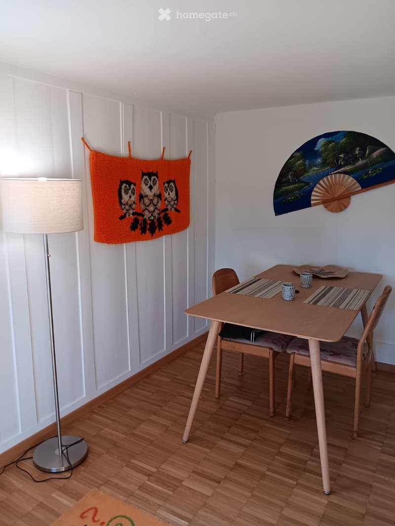 Nachmieter gesucht (5)
