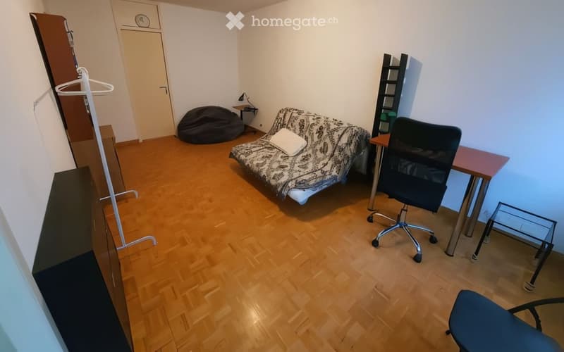Beautiful Furnished Flat (2.5 rooms, ~35 m²) - Reprise Bail (2)