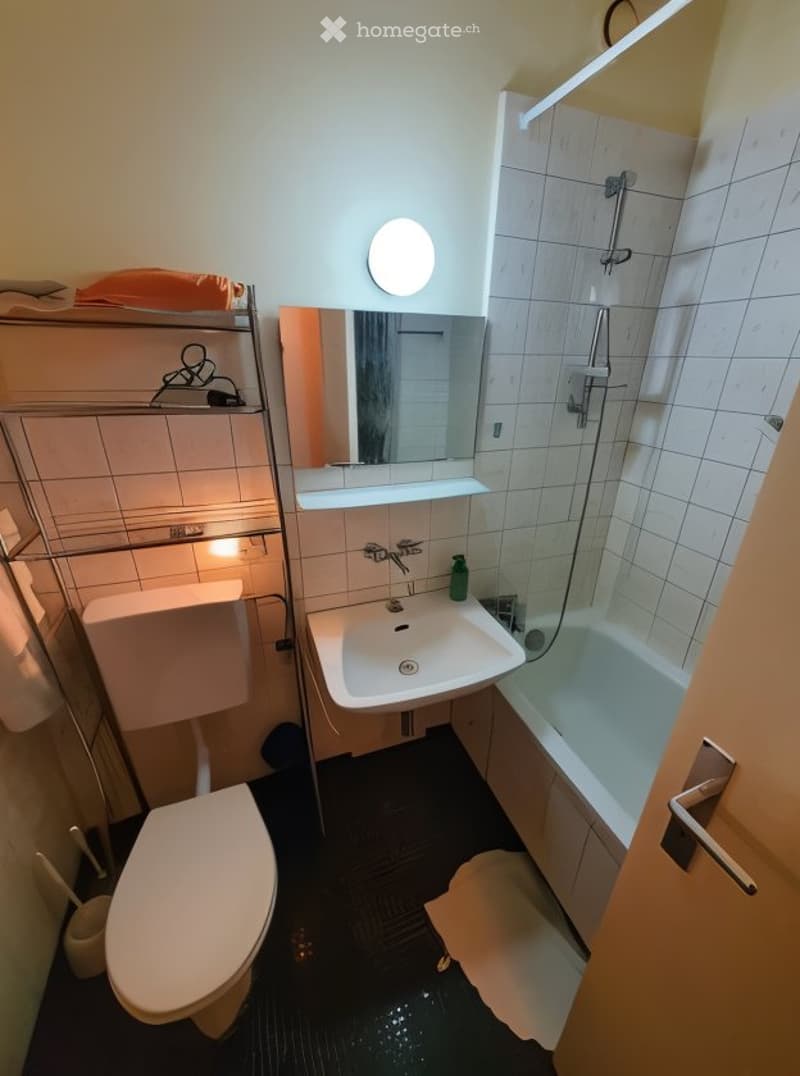 Beautiful Furnished Flat (2.5 rooms, ~35 m²) - Reprise Bail (4)