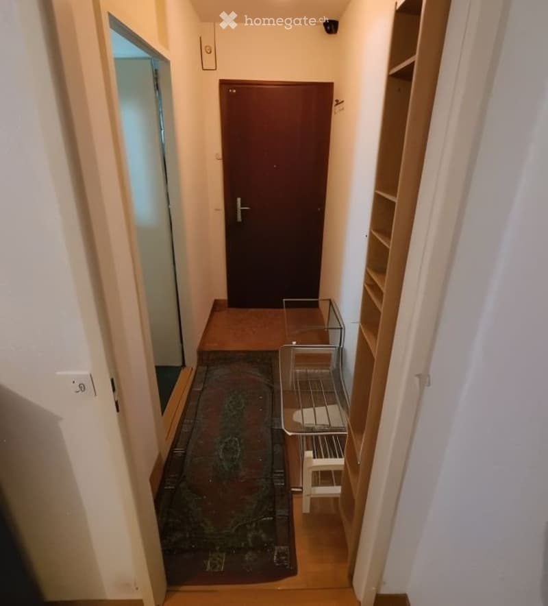 Beautiful Furnished Flat (2.5 rooms, ~35 m²) - Reprise Bail (5)