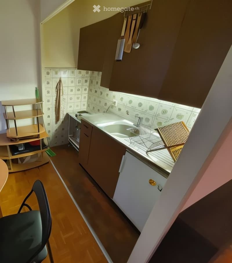 Beautiful Furnished Flat (2.5 rooms, ~35 m²) - Reprise Bail (3)