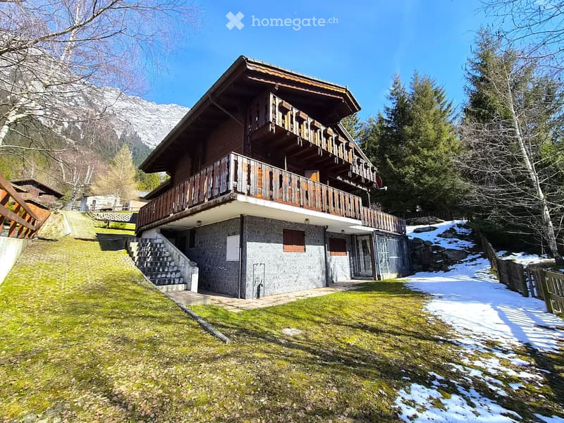 Schönes Doppelchalet mit Grundstück (1)