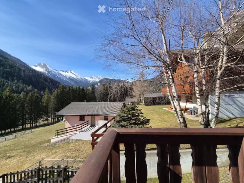 Schönes Doppelchalet mit Grundstück (4)