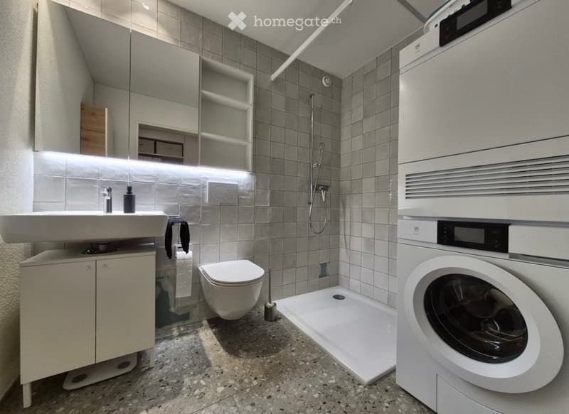 Befristet, möbliert: 3.5-Zimmer-Maisonette in Uster (10)